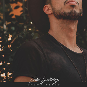 日本女优与黑人
